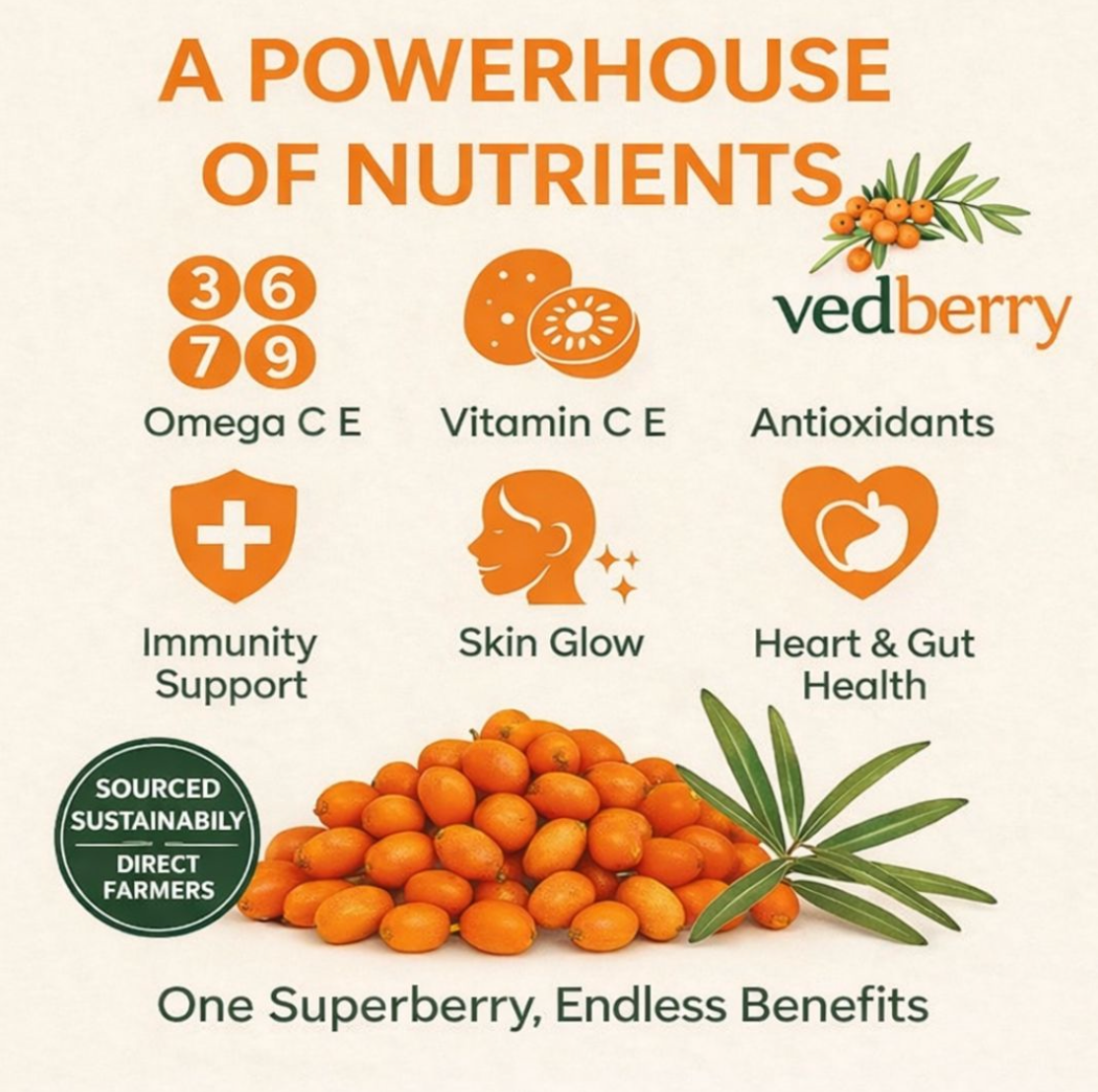 Himalayan Sea Buckthorn Berries | Sun-Dried & 100% Natural