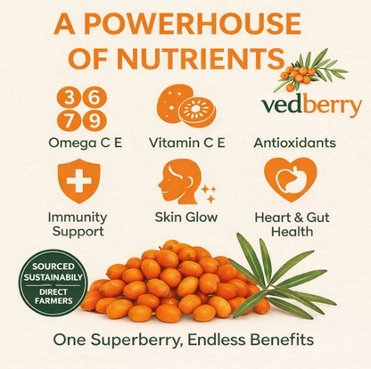 Himalayan Sea Buckthorn Berries | Sun-Dried & 100% Natural